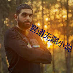 官道无疆小说 （吃枪药）