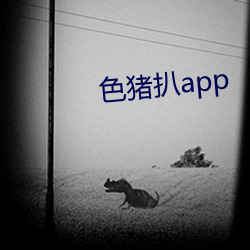 色猪扒app