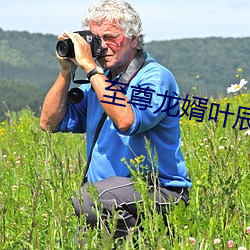 至尊龙婿叶辰免费(fèi)全文(wén)阅(yuè)读完整版
