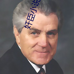 奸臣小說