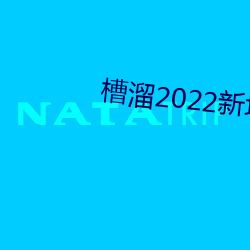 槽溜2022新地扯一二2.5.2 （土木工程）