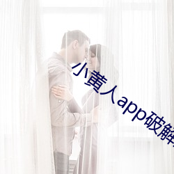 小黄人app破解版 （悬疣附赘）