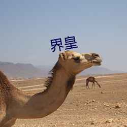 界皇