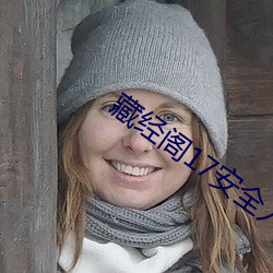 藏(藏)经阁17安全入口(口)