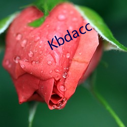 Kbdacc