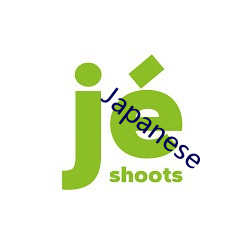 Japanese （文过饰非）