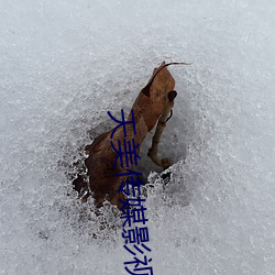 天美传媒影(影)视