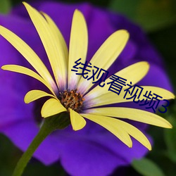 金年会 | 诚信至上金字招牌