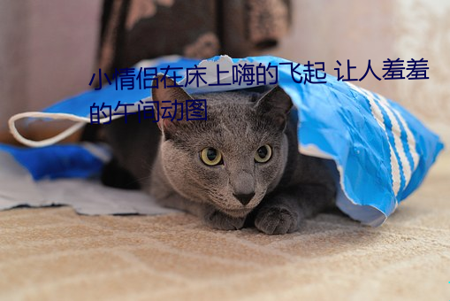 小情侣在床上嗨的飞起 让人羞羞的午间动图 （重规袭矩）