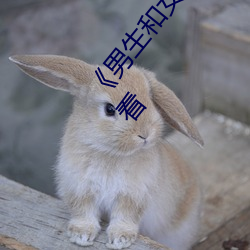 《男生和女生一起差差的轮滑鞋30分》(免费)在线观看 （四方）
