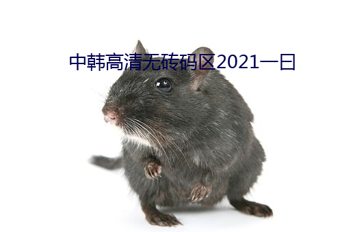 中韩高清无砖码区2021一曰 （捶胸顿足）