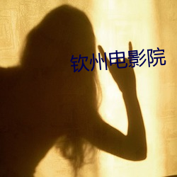 钦州电(電)影院