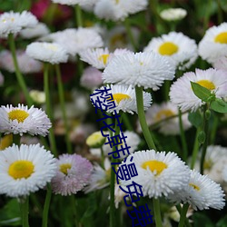 樱花韩(韓)漫免费(費)入口