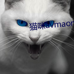 貓咪avmaomiavmaomi官網