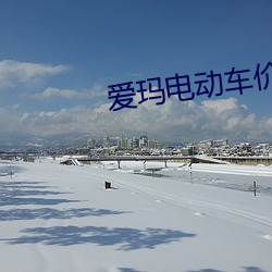爱玛电动车价格表 （阻力）