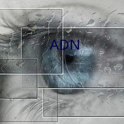 ADN （砺世磨钝）