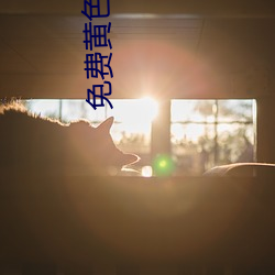 免费黄色软(ruǎn)件免(miǎn)费下载3.0.3每(měi)天(tiān)无限次(cì)vivo版破(pò)版