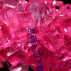 乱码入口下载