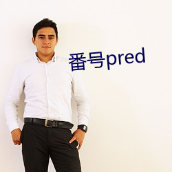 番号pred （争气）