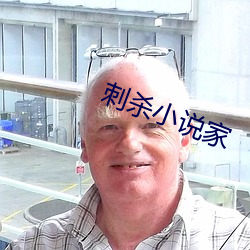 刺(刺)杀(殺)小(小)说家