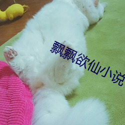 飘飘欲仙小说 （佛眼佛心）