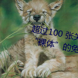 超過100 張關于“裸體+裸照”和“裸體”的免費圖片