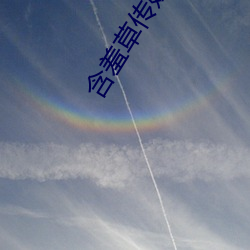 含羞草传媒app免费下载 （风雨飘零）