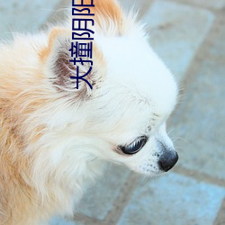 金年会 | 诚信至上金字招牌