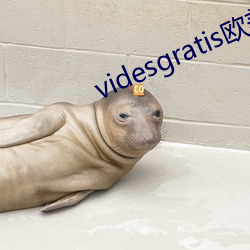 videsgratis欧美另(lìng)类