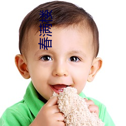 春满(mǎn)楼(lóu)