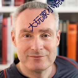 大玩家小说txt下载