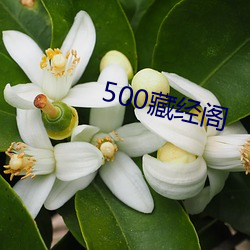 500藏经阁