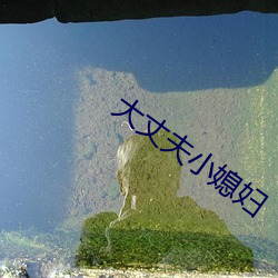 大丈(丈)夫小(小)媳妇
