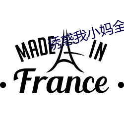诱惑(huò)我小妈全文免费阅读