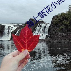 海上繁花小说 （标示）