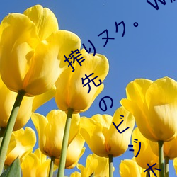 搾りヌク。 W癡女上司と相部屋… 出張先のビジホで、部下の男性社員を10發射