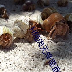 H純肉無修裏番在線觀看網