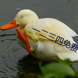 一二三四免费中文在线7 （哈达）