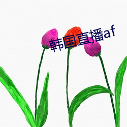 韩国直播af （淹埋）