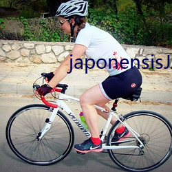 japonensisJAVAHD大