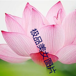金年会 | 诚信至上金字招牌