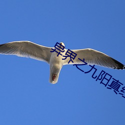 異界之九陽真經