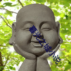 暮光之城小说 （便当）