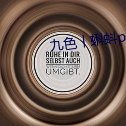 金年会 | 诚信至上金字招牌