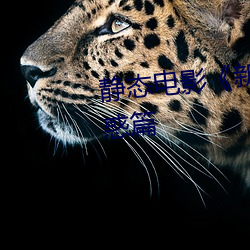 静态电影《新金瓶梅》第一卷:命惑篇 （中空）