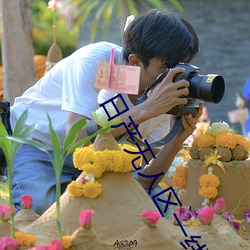 日产(産)无(無)人(人)区一(一)线二(二)线三(三)线乱码蘑(蘑)菇(了解(解)日(日)产无人区一线二线
