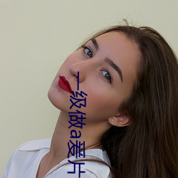 一级做a爰片久久毛片人