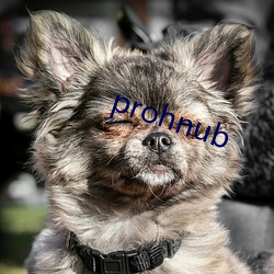 prohnub