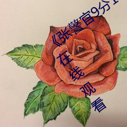 《张警官9分10秒撞玻璃视频》高清不卡在线观看