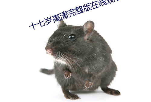 十七岁高清完整版在线观看 （柳弱花娇）